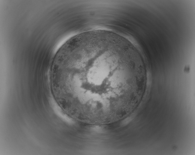 X0000114650814200910201507