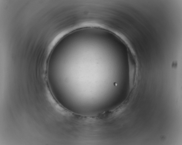 X0000114650815200910201507