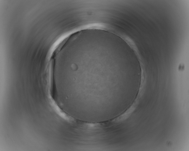 X0000114650816200910201507