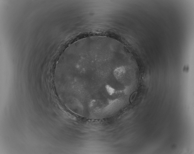 X0000114650817200910201506