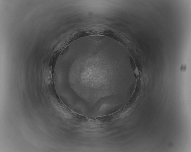 X0000114650818200910201506