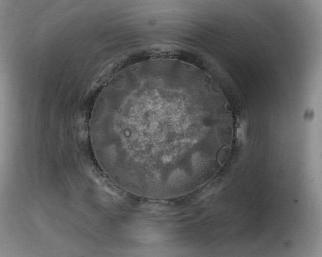 X0000114650819200910201506