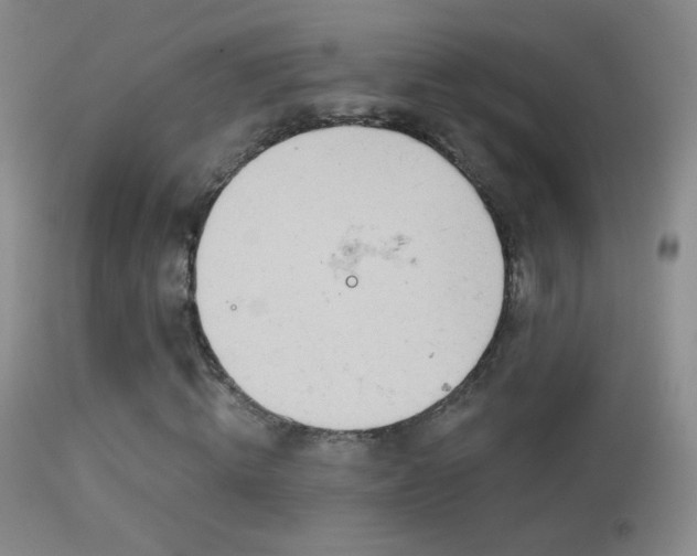 X0000114650820200910201506