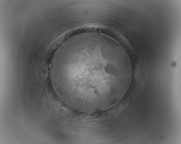 X0000114650821200910201506