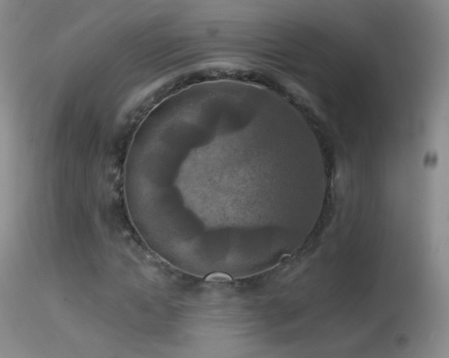 X0000114650822200910201506