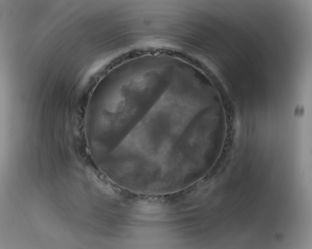 X0000114650823200910201506