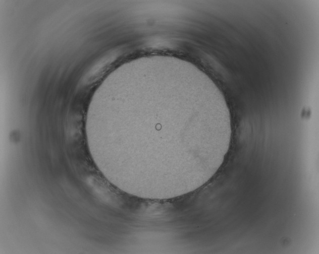 X0000114650824200910201506