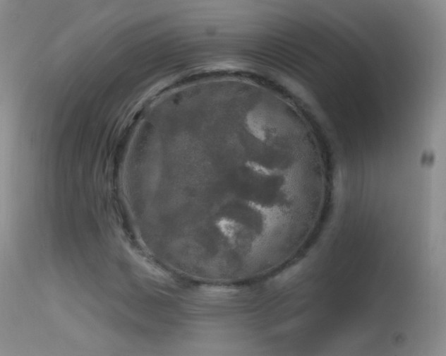 X0000114650825200910201506