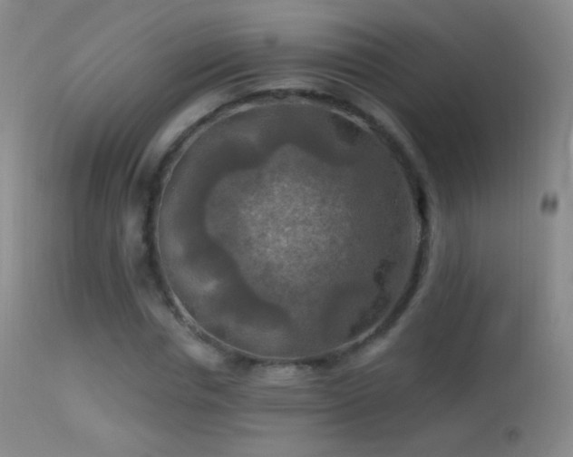X0000114650826200910201506