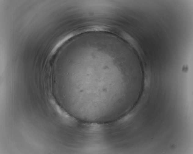 X0000114650827200910201506