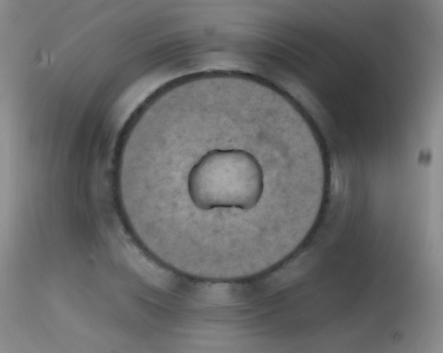 X0000114650828200910201506