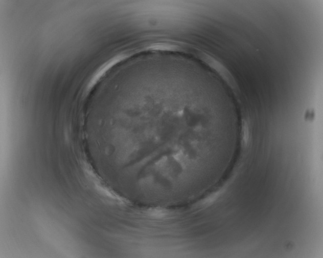 X0000114650829200910201507