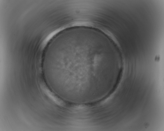 X0000114650830200910201507