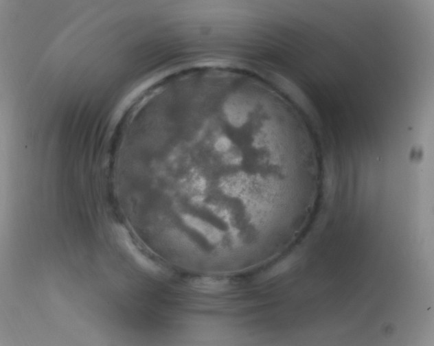 X0000114650831200910201507