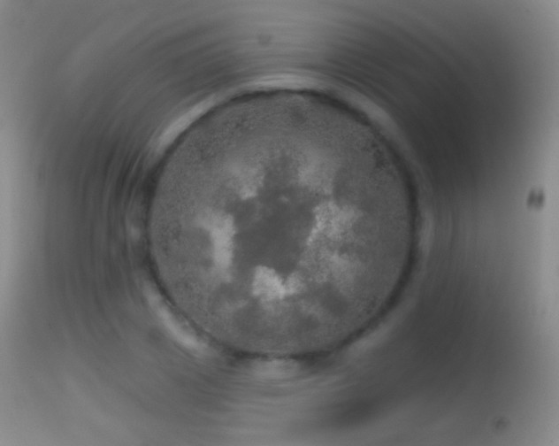 X0000114650833200910201507