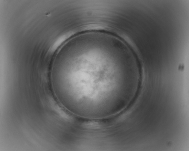 X0000114650834200910201507