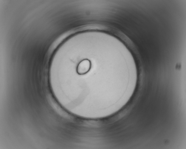 X0000114650836200910201507