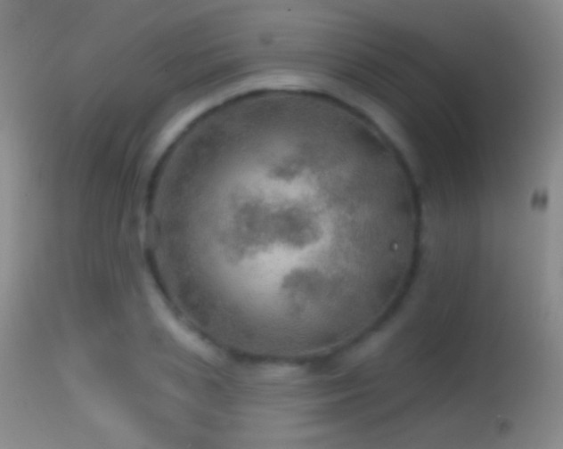 X0000114650837200910201507