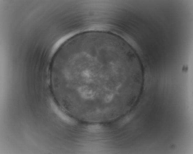 X0000114650838200910201507