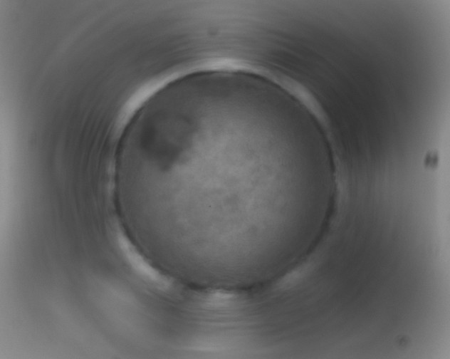 X0000114650839200910201507