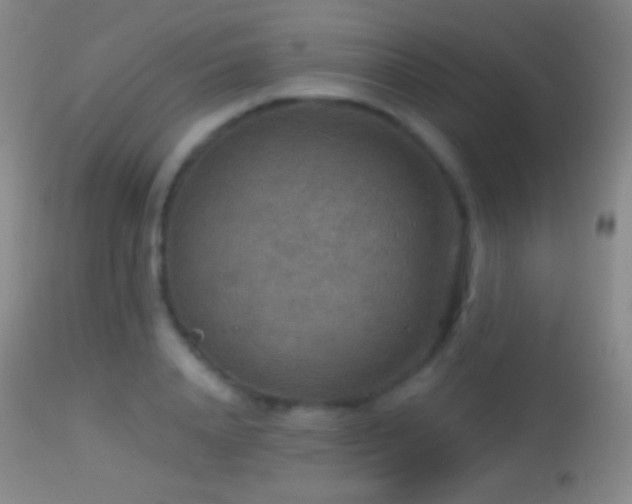 X0000114650840200910201507