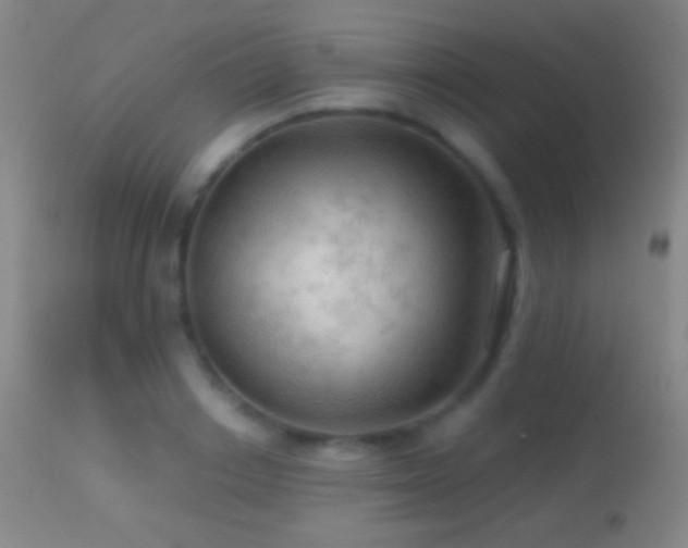 X0000114650842200910201507