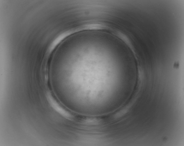 X0000114650843200910201507