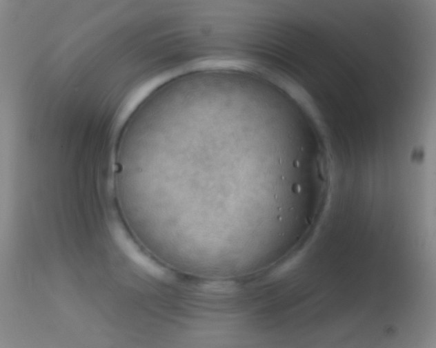 X0000114650844200910201507