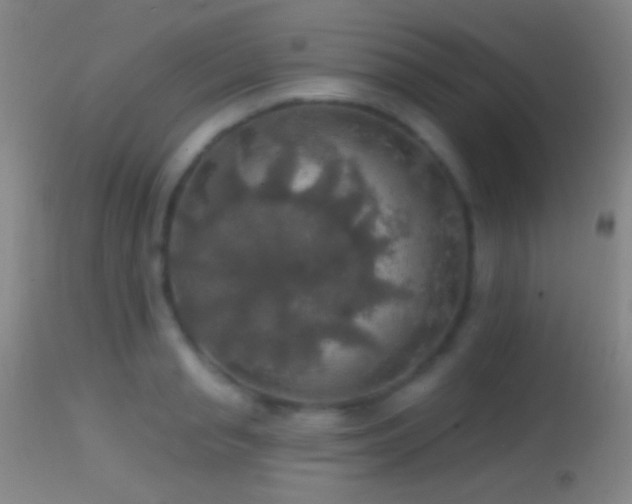 X0000114650845200910201507