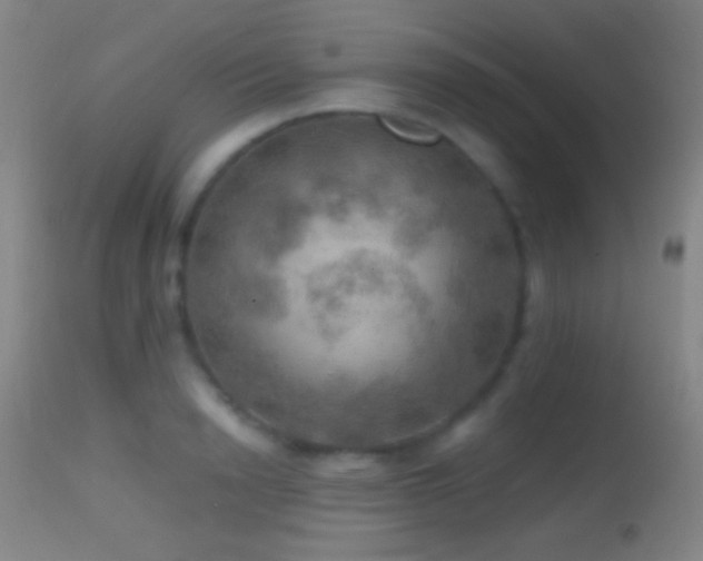 X0000114650846200910201507