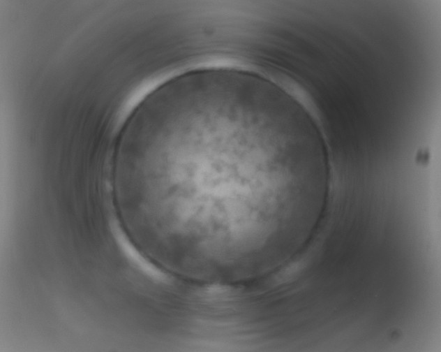 X0000114650847200910201507