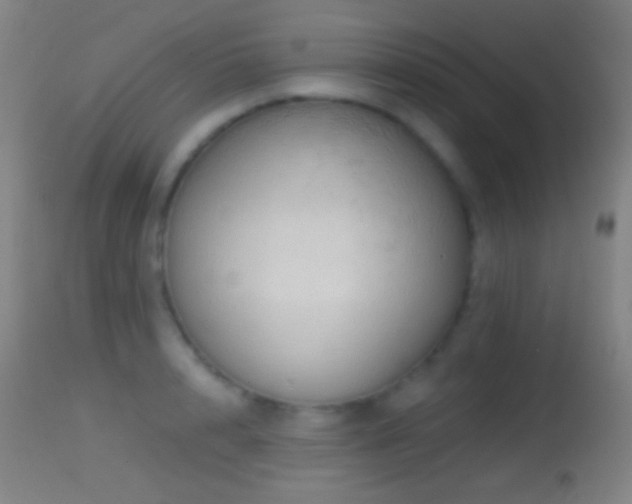 X0000114650848200910201507