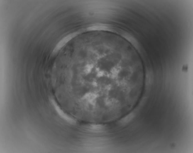 X0000114650849200910201507