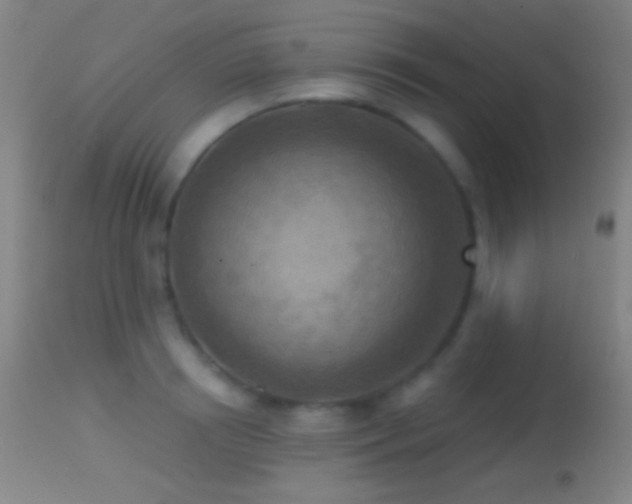 X0000114650850200910201507