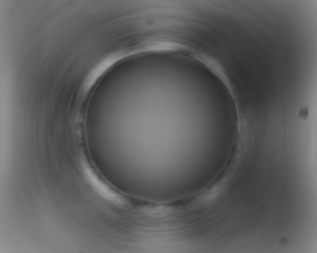 X0000114650851200910201507