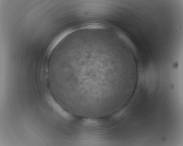 X0000114650852200910201507