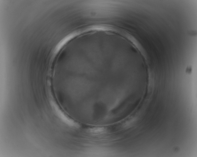 X0000114650853200910201507