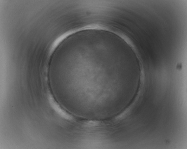 X0000114650854200910201507