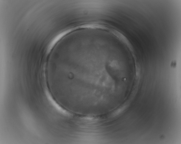 X0000114650855200910201507