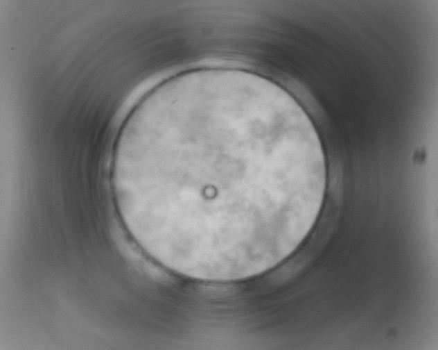 X0000114650856200910201507