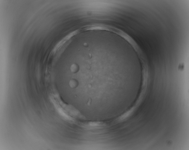 X0000114650857200910201507