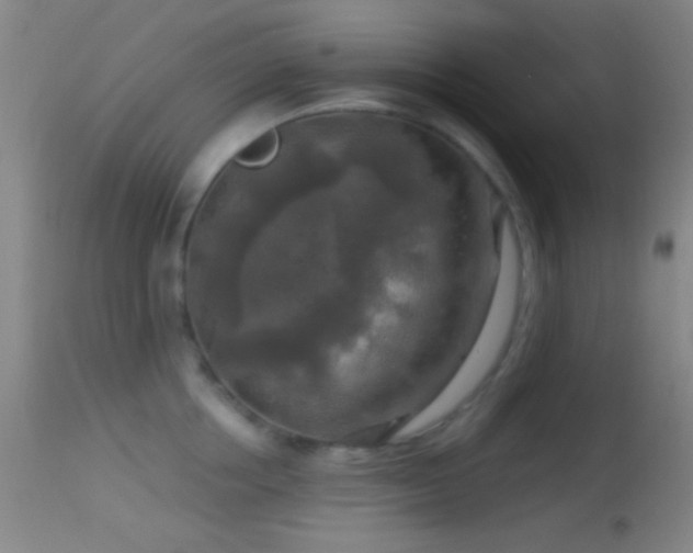 X0000114650858200910201507