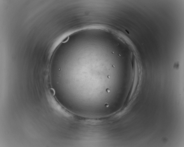 X0000114650860200910201507