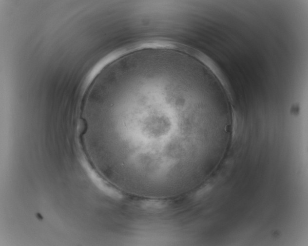 X0000114650861200910201507