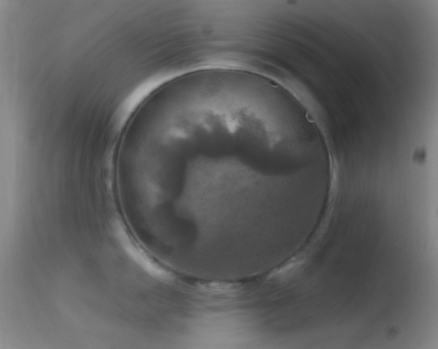 X0000114650862200910201507