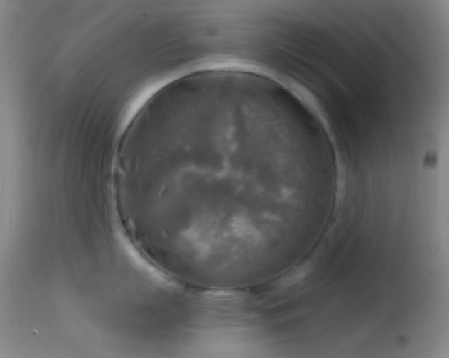 X0000114650863200910201507