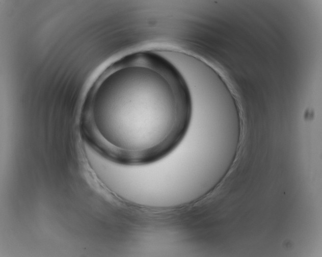 X0000114650864200910201507