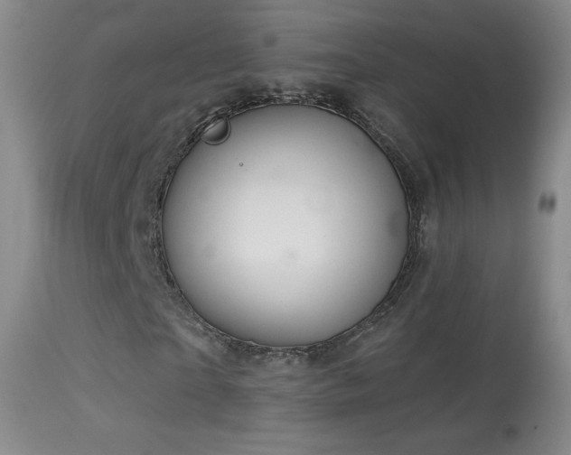 X0000114650865200910201506