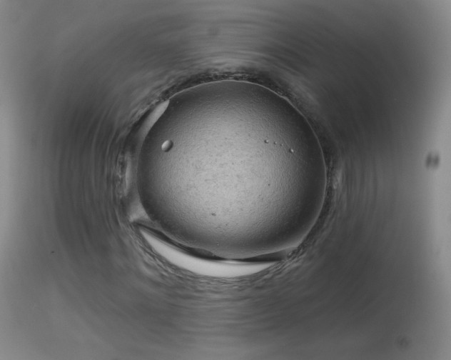 X0000114650868200910201506