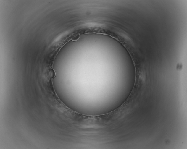 X0000114650869200910201506